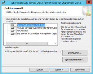 Microsoft SQL Server 2012 PowerPivot für SharePoint 2013 - Funktionsauswahl